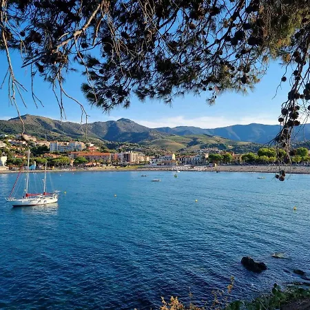 T3 Avec Jardin A Deux Pas De La - 5 Couchages, Animaux Acceptes - Fr-1-225c-117 * Banyuls-sur-Mer